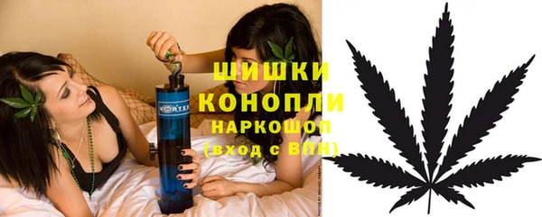 ГАЛЛЮЦИНОГЕННЫЕ ГРИБЫ Абаза