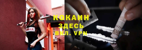ГАЛЛЮЦИНОГЕННЫЕ ГРИБЫ Абаза