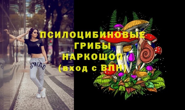 ГАЛЛЮЦИНОГЕННЫЕ ГРИБЫ Абаза